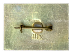 Значок Курган Славы