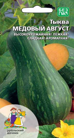 Тыква МЕДОВЫЙ АВГУСТ  Высокая урожайность! Лёжкая! Сладкая! Ароматная!
