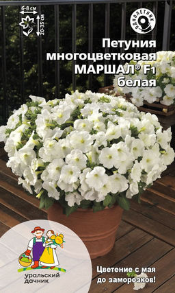 Петуния МАРШАЛ F1 БЕЛАЯ