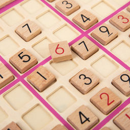 DELFBRICK DLS-25 Головоломка деревянная 1 шт Судоку 101 элемент