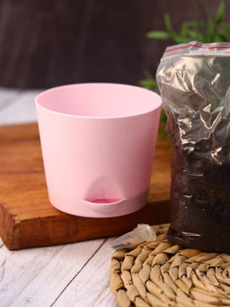 Наборы для выращивания, mix (уценка)