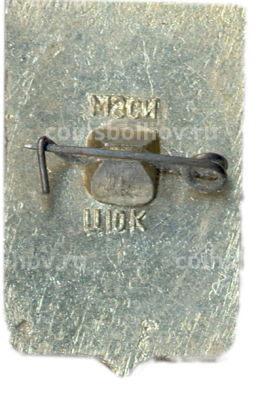 Значок Копейск