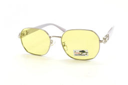 DISIKAER POLARIZED PHOTOCHROM 9005 C6 53-19-136