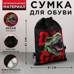 Сумка для обуви Динозавр, нетканное полотно, размер 41х31 см