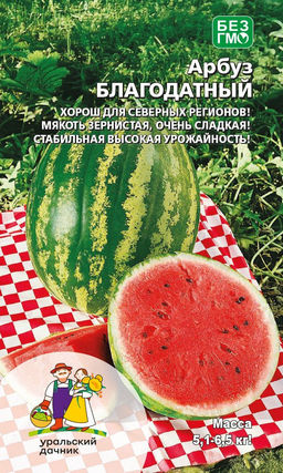 Арбуз БЛАГОДАТНЫЙ Хорош для северных регионов! Мякоть зернистая, очень сладкая! Стабильная высокая урожайность!