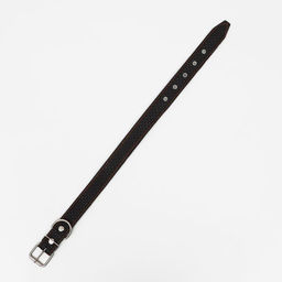 Ошейник кожаный с тиснением на синтепоне, 70,5 х 3.5 см, ОШ 45-60 см, чёрный - Пижон фото 3