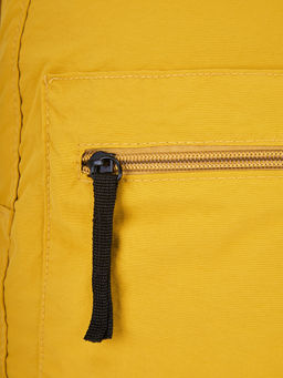 Горчичный-RR