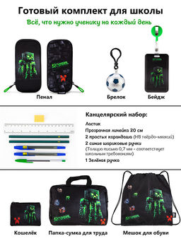 Рюкзак SkyName set-R9-3 + мешок для обуви, папка, пенал, кошелек, бейдж, канц.наб, бр. мячик, значки  фото 15