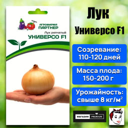 Лук репчатый Универсо - Партнер фото 2