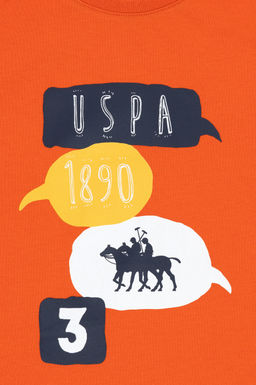 Erkek _ocuk Nar _i_e_i Kolsuz Bisiklet Yaka Ti__rt Sepette S_rpriz _ndirim - U.s. polo assn фото 3