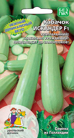 Кабачок ИСКАНДЕР F1  Ультраранний! Нежный, деликатесный вкус! Плодоносит до заморозков!