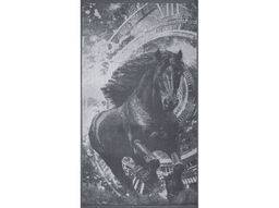 Полотенце махровое 6с103.412ж1 Бег времени(графит5) 50х90см