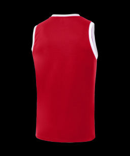 Майка баскетбольная JOGEL CAMP Basic, красный, детский