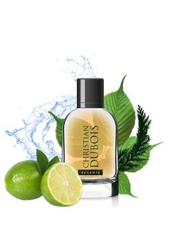 Dilis CHRISTIAN DUBOIS Dynamic Туалетная вода для мужчин 100 мл  фото 3