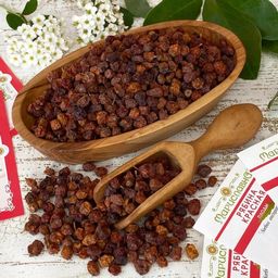 2 шт. Рябина красная (плоды) 2 шт. Рябина красная (плоды)