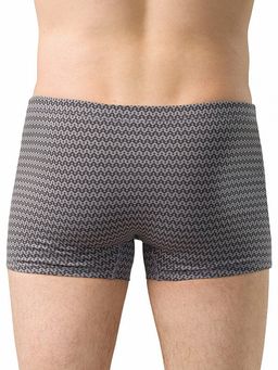 Pelican MUHB6865 трусы мужские  фото 4