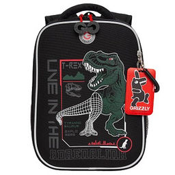 RAw-497-10 Рюкзак школьный - Grizzly фото 2