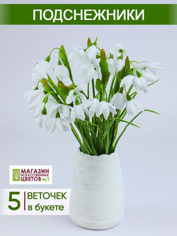 Подснежник