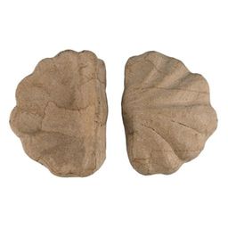 Заготовка для декорирования Love2art PAM-106 ракушка папье-маше 8.3 х 6.3 х 2.5 см 2 шт СК/Распродажа