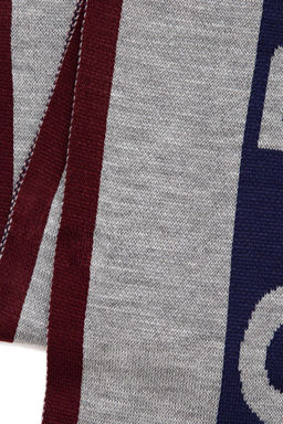 Мужской темно-синий шарф Неожиданная скидка в корзине - U.s. polo assn фото 2