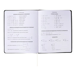 Дневник универсальный для 1-11 класса "Не расстраивайся из-за ерунды", интегральная обложка, искусственная кожа, шелкография, ляссе, 80 г/м²