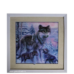 Картина 5D 40х40 5D149 Волчица / 2009C-012A /