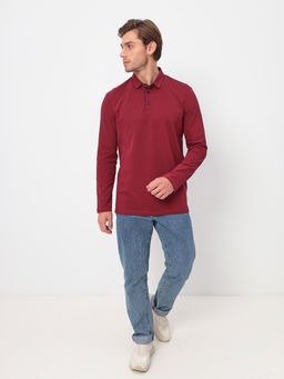 Джемпер мужской с воротником поло GREG G155-PO1246-CTR2085 (бордовый)  фото 3