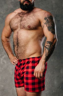 Мужские трусы-боксеры Happy Fox  фото 2