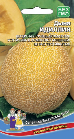 Дыня ИДИЛЛИЯ  Десертная! Очень ароматная! Устойчива к комплексу болезней! Не растрескивается!