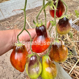 Бронзовые пальчики Сержанта Пеппера