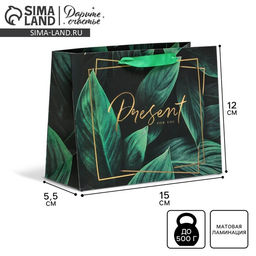 Цена за 2 шт. Пакет подарочный ламинированный, упаковка, Present for you, S 15 х 12 х 5.5 см