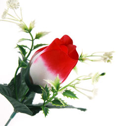 Сухоцвет набор 5 штук 120 см Роза / 1810-13 /уп 140/А - ГалеонТрейд фото 5