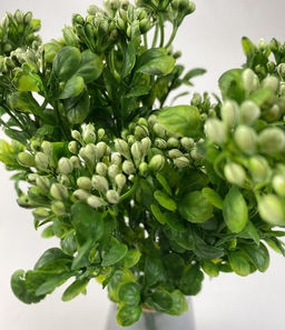 Декоративное растение, цвет желтый 35см - Aopen фото 2