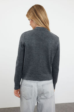 Antrasit Yumusak Dokulu Mucevher Dugmeli Ceket Gorunumlu Triko H?rka TWOAW22HI0044