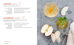 Практическая миксология. Девайсы. Техники. Ингредиенты. Кастеллон Ф. - Колибри фото 3