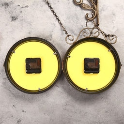 Часы настенные интерьерные «Птичка в клетке», двусторонние, на подвесе, бесшумные, плавный ход, 23×44 см, d=17 см