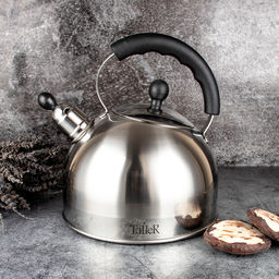 Чайник TalleR TR-11344 Брент 3 л