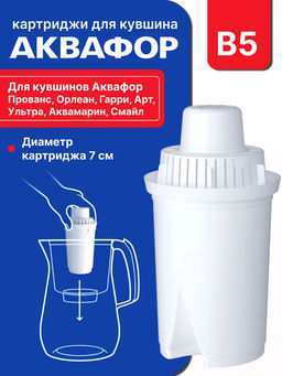 -15% Сменный модуль В5 бактерицидный (комплект из 2-х штук) Аквафор