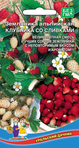Земляника КЛУБНИКА СО СЛИВКАМИ