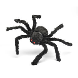 Паук "Grammostola" для розыгрыша