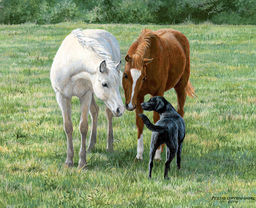 Лошадиная семья