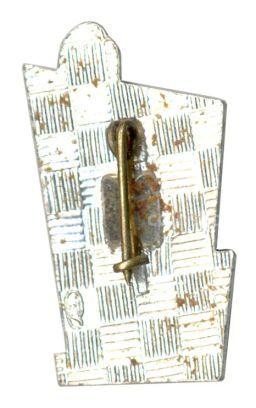 Значок Петродворец