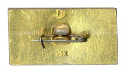 Значок Ростов