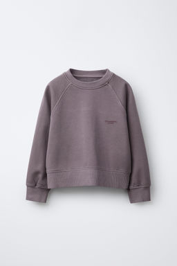 SUDADERA EFECTO LAVADO TEXTO / Ciruela - Zara фото 3