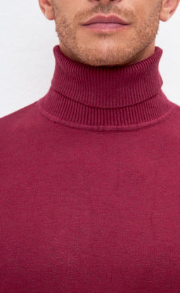 Водолазка мужская F121-01-868 бордовая - Fine joyce фото 11