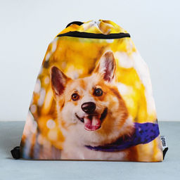 Сумка для обуви Забавный корги, 2 секции, 41х31 см - Artfox study фото 3