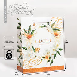 Цена за 2 шт. Пакет подарочный ламинированный, упаковка, «Хорошего настроения», ML 23×27×11.5 см