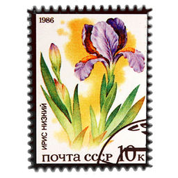 Магнит керамический 6х8см Почтовая марка Ирис (Китай)