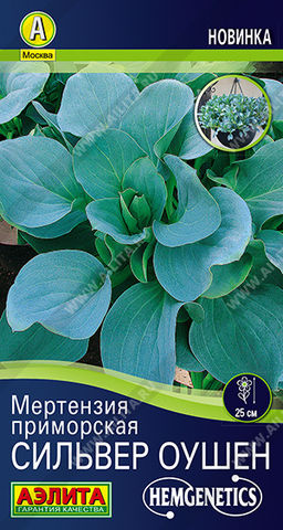 2017A Мертензия приморская Сильвер Оушен 5шт