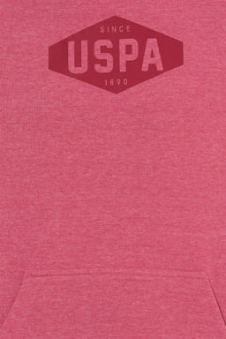 U. S. Polo Assn Мужская комфортная толстовка с капюшоном - U.s. polo assn фото 12